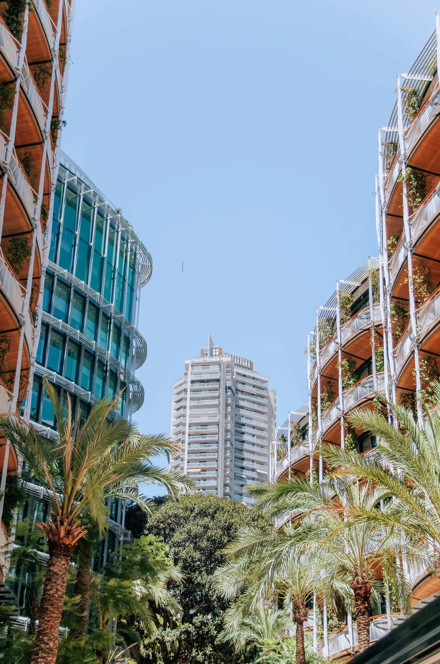 Les-étapes-administratives-pour-domicilier-sa-SAM-à-Monaco-article-image3